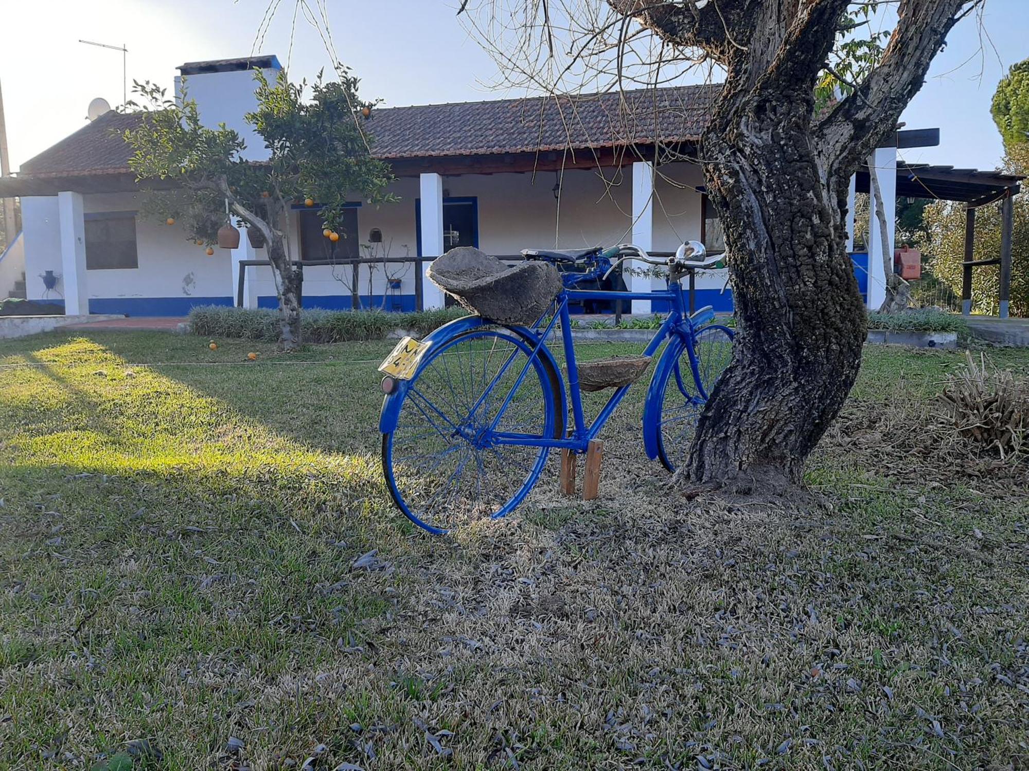 Monte Das Laranjeiras Corticadas do Lavre Εξωτερικό φωτογραφία
